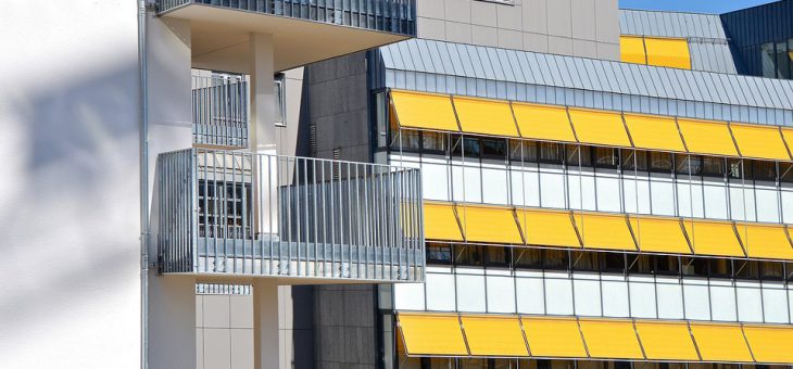 Do czego są markizy i jak je czyścić?